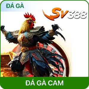 DỮ LIỆU 188BET